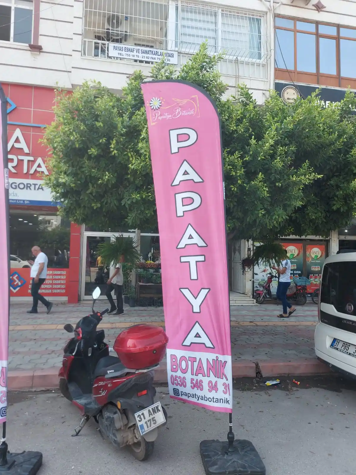 Çiçekçi Yelken Bayrağı-8